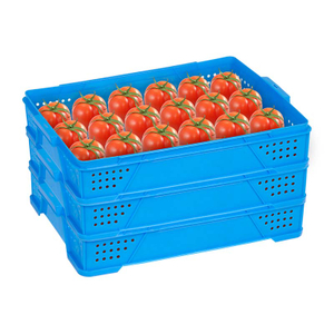 Plastic Crate for Tomatoes Or Other Fruits