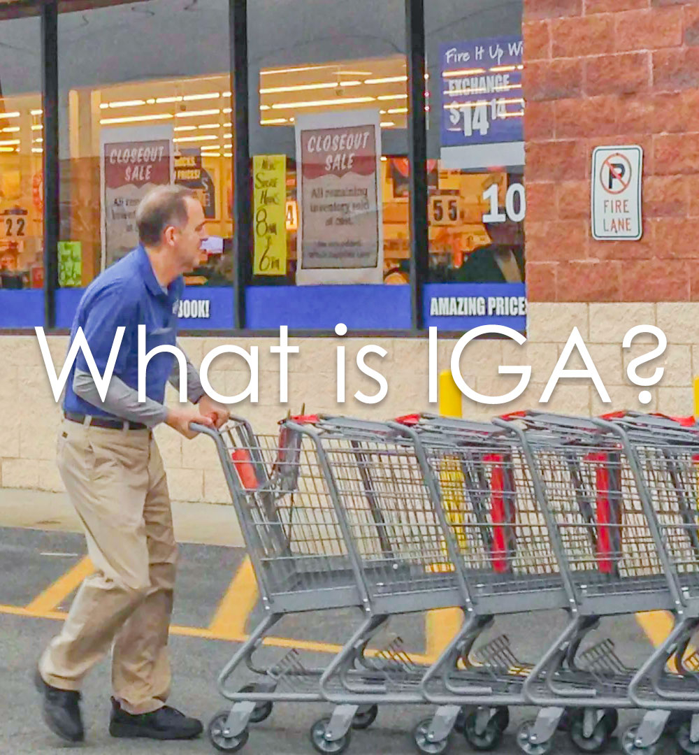 what-is-iga-1000