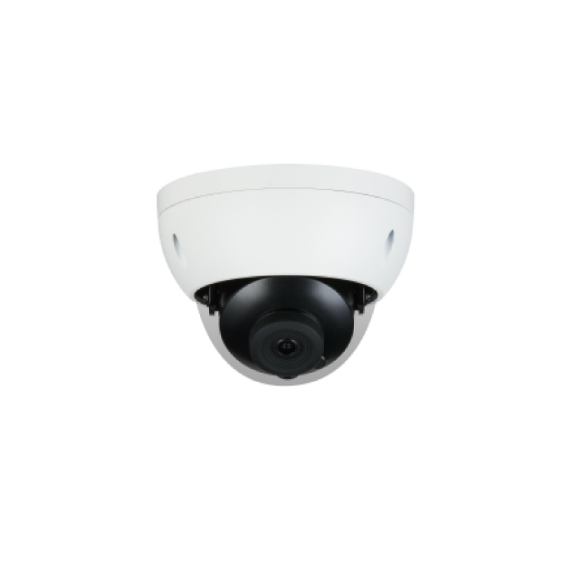 2MP Intelligent Infrared Fixed Focus Riot Hemisphere Network Camera