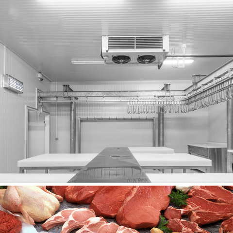 100CBM Cold Room for Frozen Meat, Frozen Fish