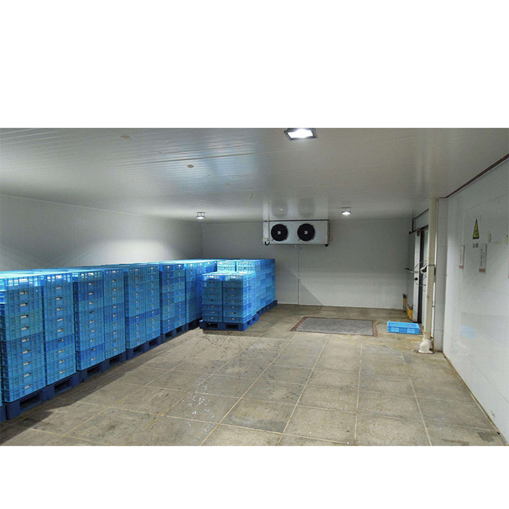 60CBM small cold room for fruit and vegetable