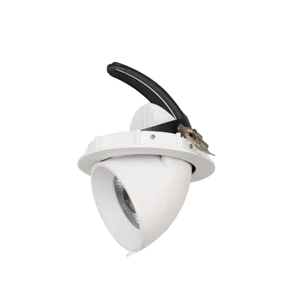 Embedded COB Elephant Trunk Light Single Polarized Linear Lamp