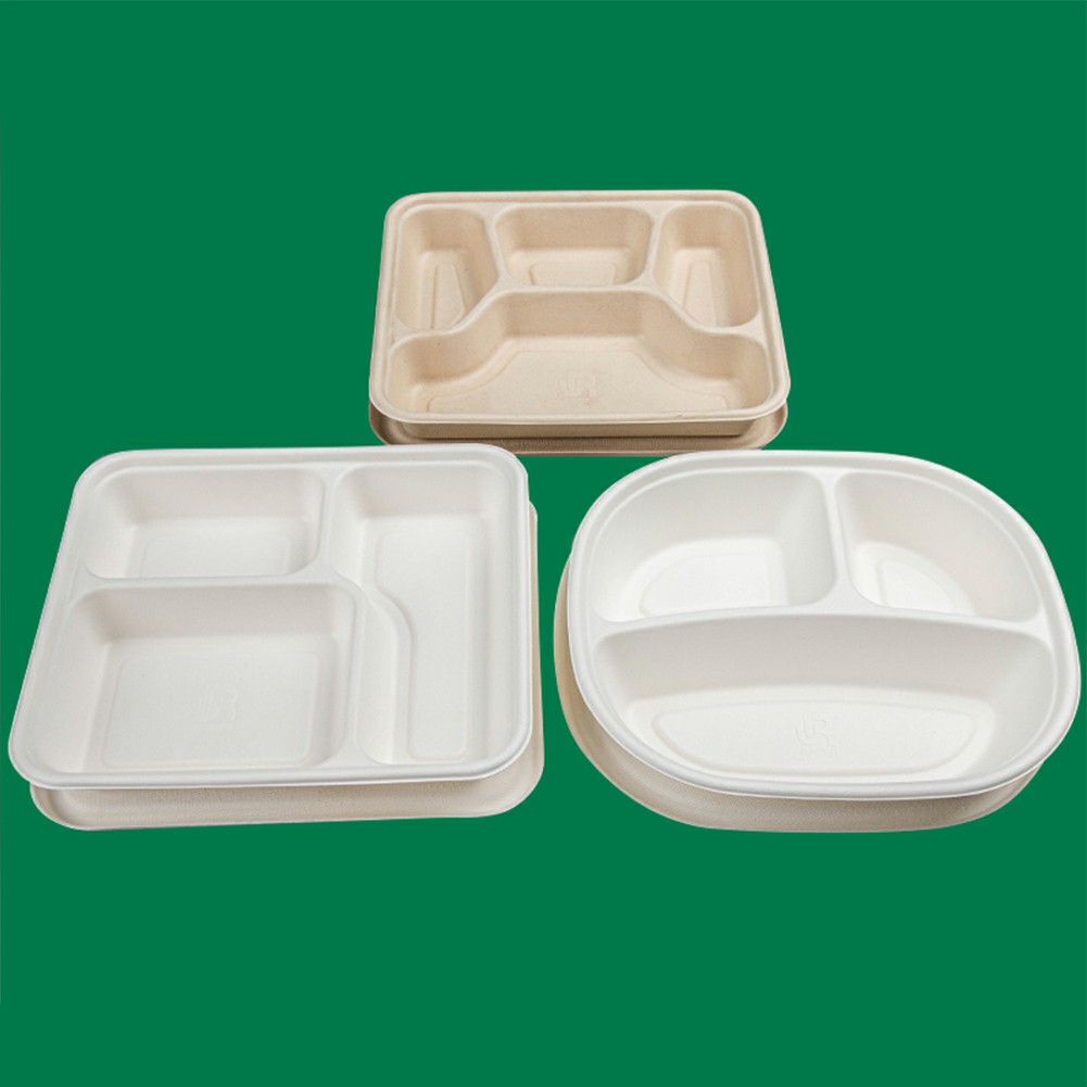 Degradable Eco Friendly Meal Box