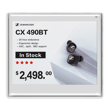 4.2 Inch Esl Label