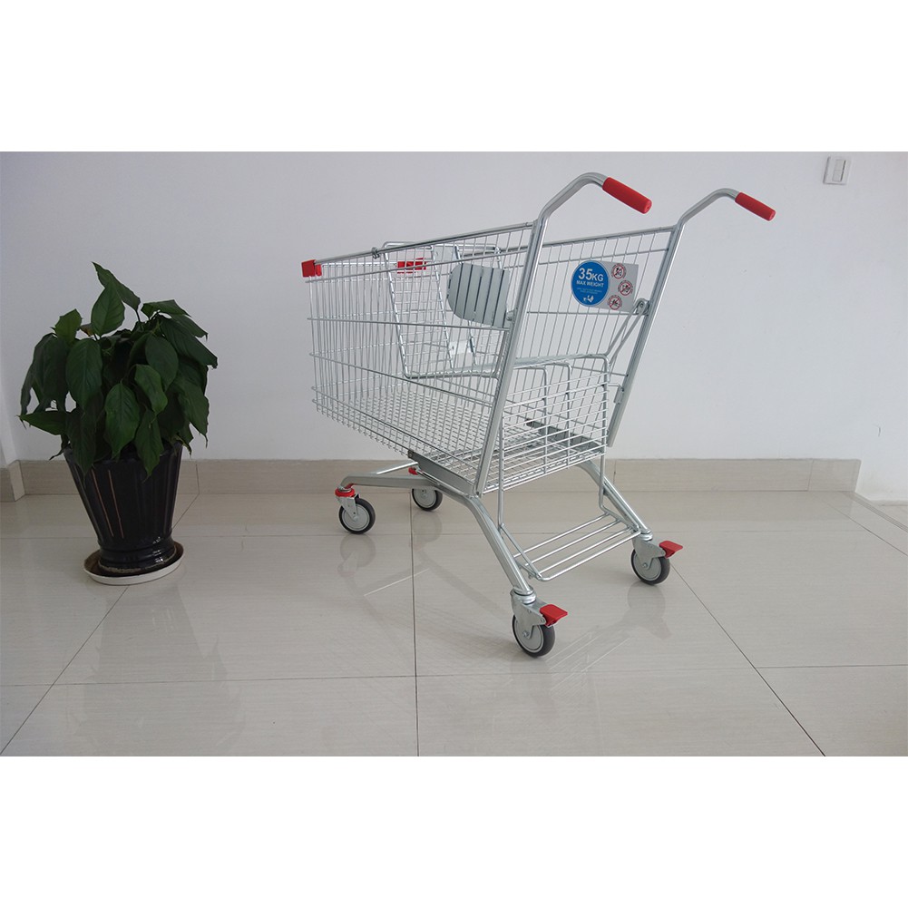 Shopping Cart for Older Children with A Disability