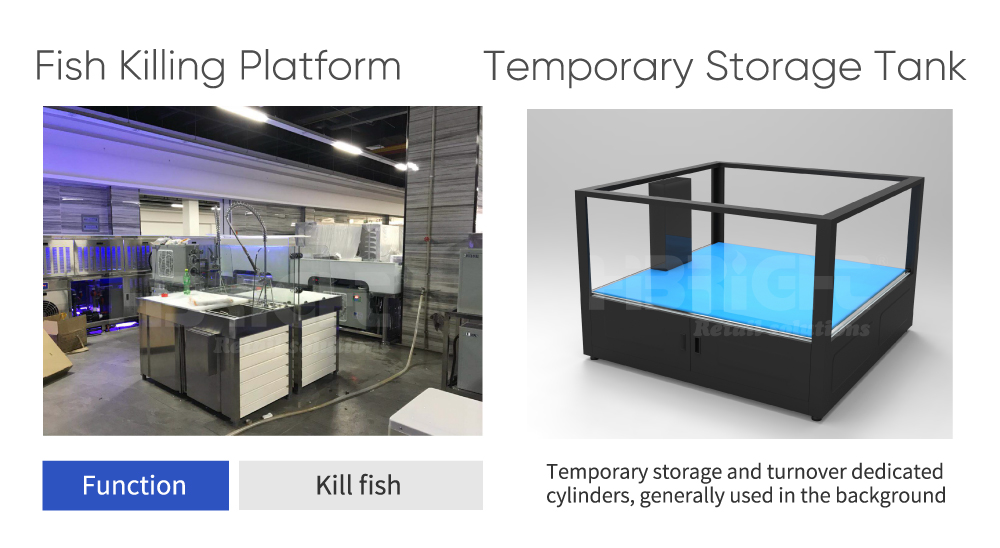 Supermarket Fish Tank5