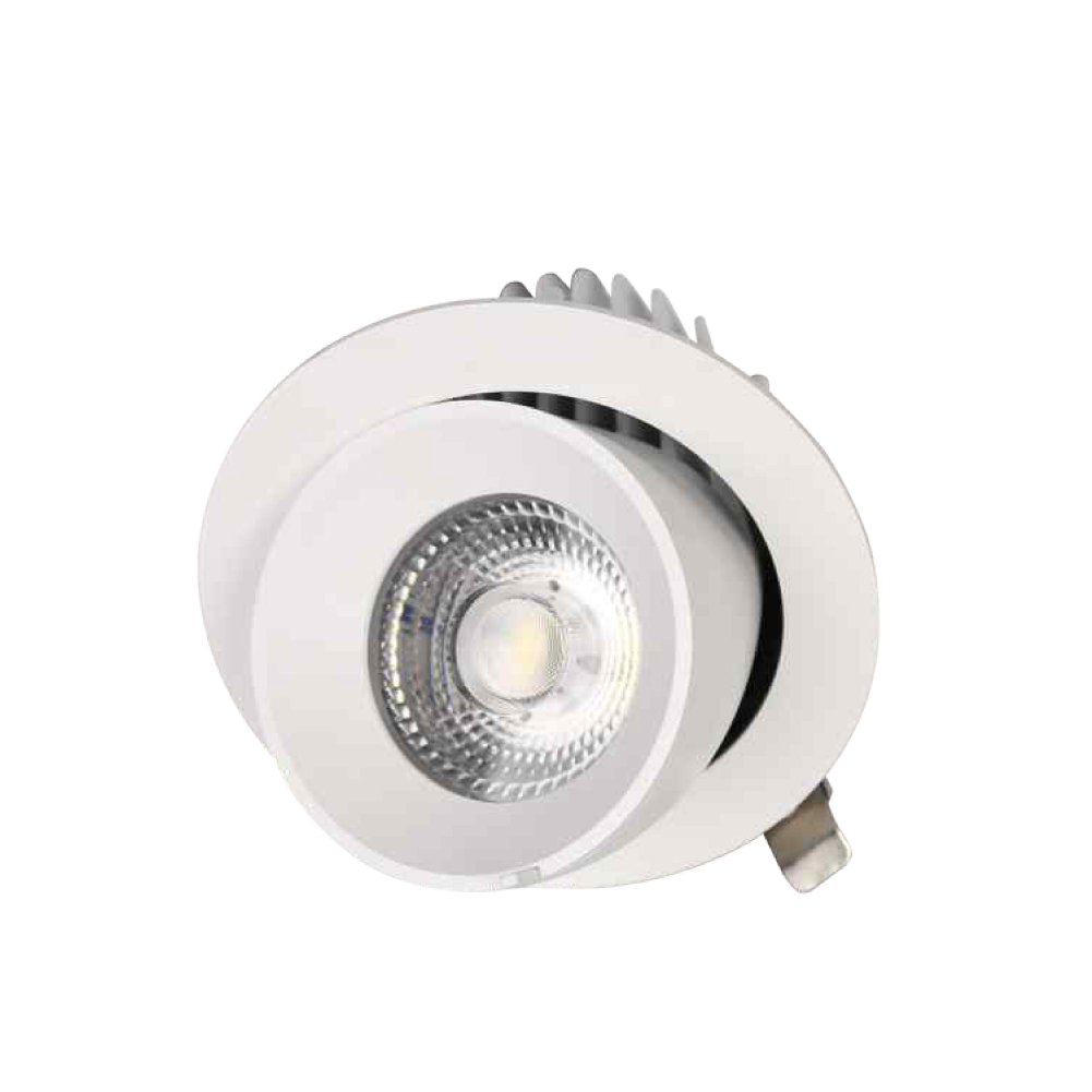 Embedded COB Elephant Trunk Light Single Polarized Linear Lamp